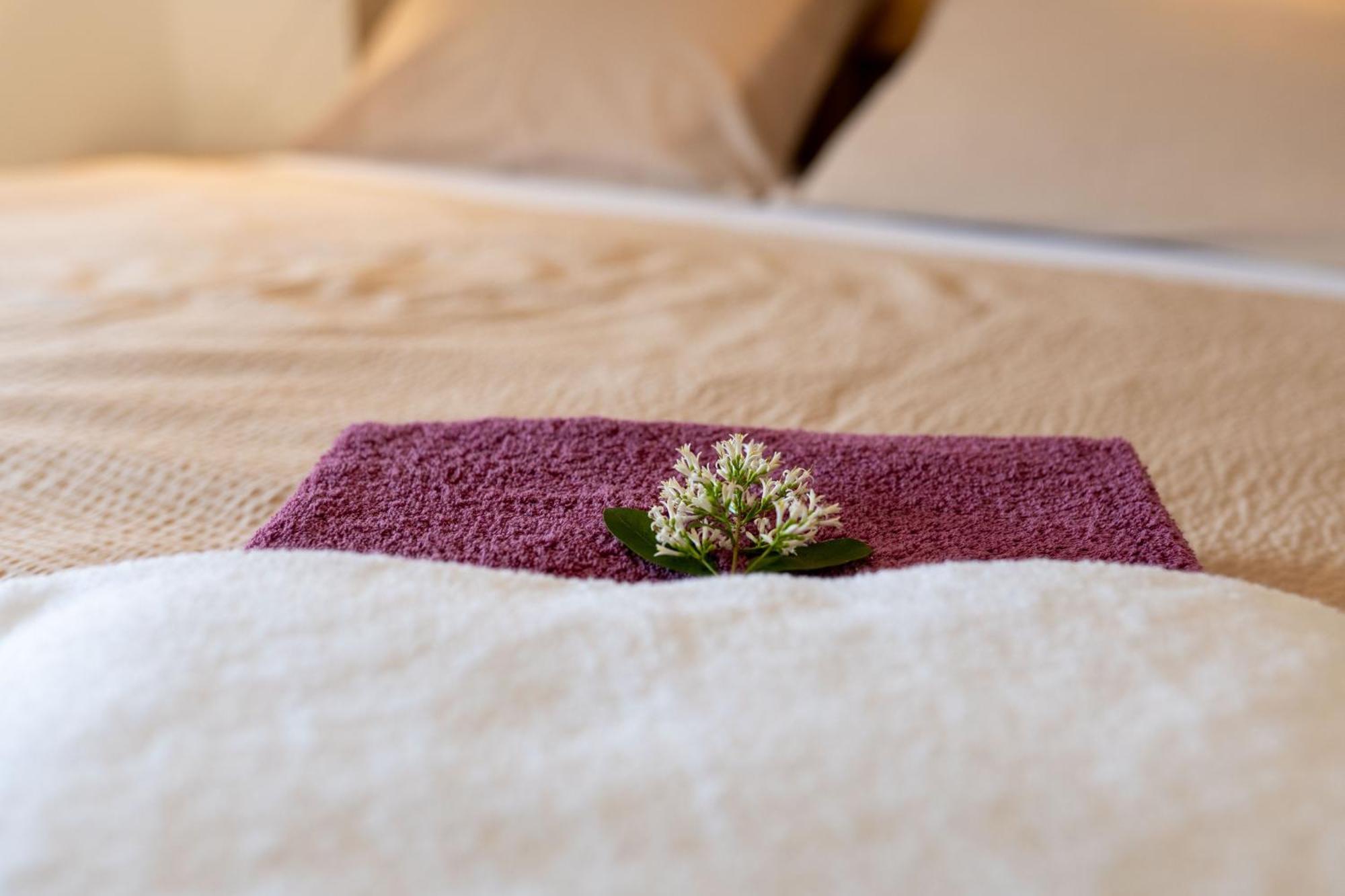 Papi Apartman Valtice Dış mekan fotoğraf